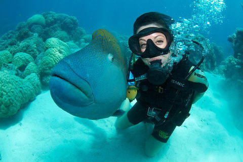 Great Barrier Reef Diving And Snorkeling Cruise From Cairns - Redcliffe Tourism 2