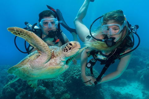 Great Barrier Reef Diving And Snorkeling Cruise From Cairns - Redcliffe Tourism 4