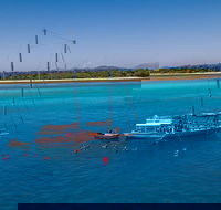Ocean Free Green Island  Great Barrier Reef Snorkel Cruise Cairns 25 guests - Redcliffe Tourism