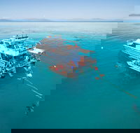 Ocean Freedom Great Barrier Reef Personal Luxury Snorkel  Dive Cruise Cairns - Redcliffe Tourism