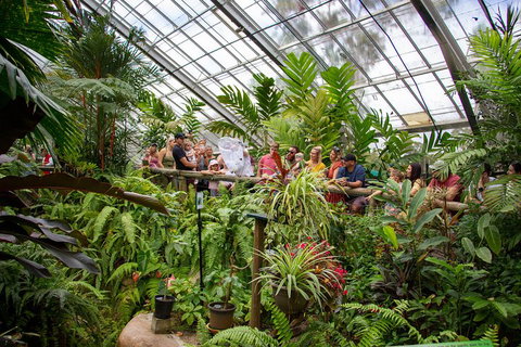 Australian Butterfly Sanctuary - Redcliffe Tourism 0