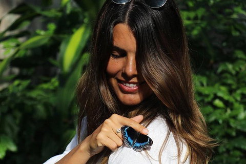 Australian Butterfly Sanctuary - Redcliffe Tourism 2