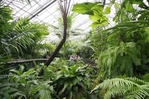 Australian Butterfly Sanctuary - Redcliffe Tourism 3