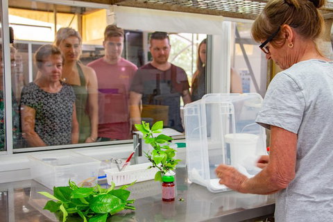 Australian Butterfly Sanctuary - Redcliffe Tourism 5