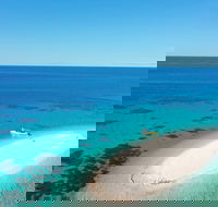 Ocean Safari Great Barrier Reef Experience in Cape Tribulation - Redcliffe Tourism