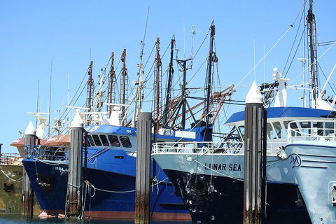 One Day Port Lincoln Tour - Tasting Eyre - Redcliffe Tourism 0
