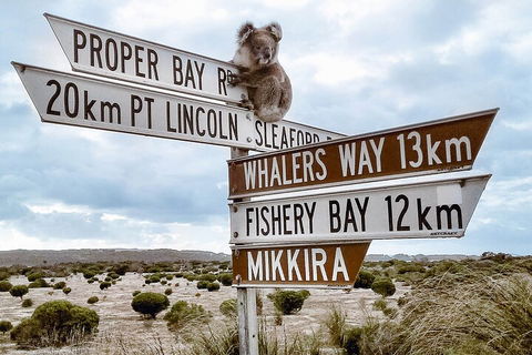 One Day Port Lincoln Tour - Tasting Eyre - Redcliffe Tourism 2