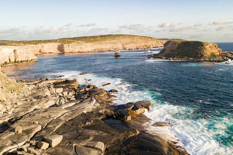 One Day Port Lincoln Tour - Tasting Eyre - Redcliffe Tourism 3