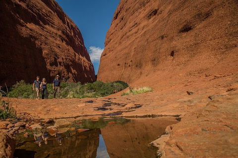 4 Day/3 Night Perentie Dreaming Safari - Redcliffe Tourism 3