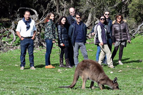 2-Day Kangaroo Island 4WD Small-Group Tour From Adelaide - Redcliffe Tourism 1