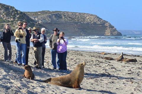 2-Day Kangaroo Island 4WD Small-Group Tour From Adelaide - Redcliffe Tourism 3