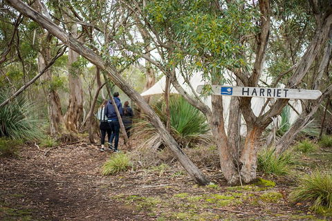 2-Day Kangaroo Island 4WD Small-Group Tour From Adelaide - Redcliffe Tourism 5