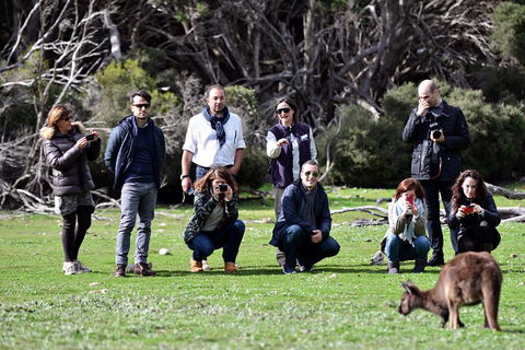 Small-Group Kangaroo Island 4WD Tour From Adelaide - Redcliffe Tourism 2