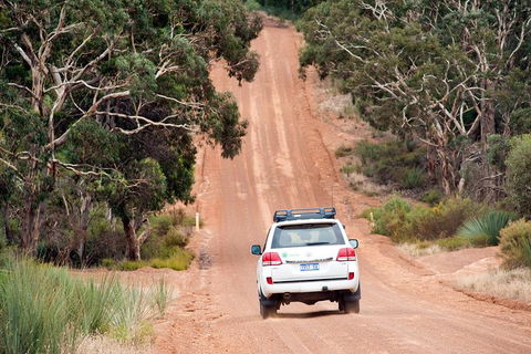Small-Group Kangaroo Island 4WD Tour From Adelaide - Redcliffe Tourism 3