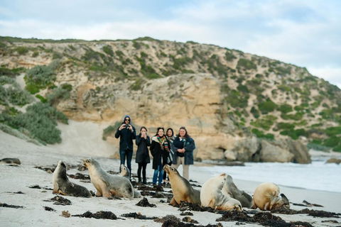 Small-Group Kangaroo Island 4WD Tour From Adelaide - Redcliffe Tourism 4