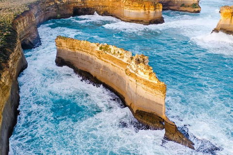 Small-Group Great Ocean Road Day Trip From Melbourne - Redcliffe Tourism 2