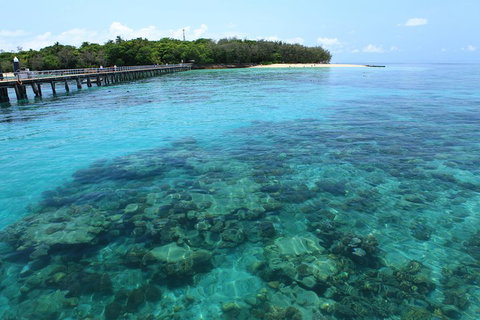 Cairns City Sights And Surrounds Tour - Redcliffe Tourism 1