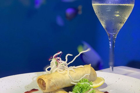 Cairns Aquarium And Small Group City Sightseeing Tour - Redcliffe Tourism 5