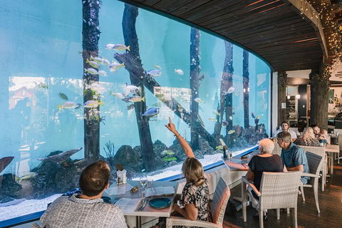 Cairns Aquarium Tour By Twilight With Drink And Appetiser - Redcliffe Tourism 3
