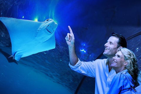 Cairns Aquarium Tour By Twilight With Drink And Appetiser - Redcliffe Tourism 4
