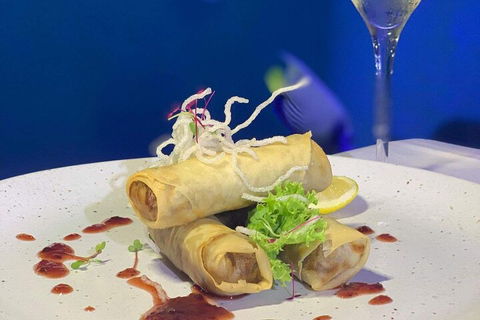 Cairns Aquarium Marine Life Encounter Ticket With 2-Course Lunch - Redcliffe Tourism 1