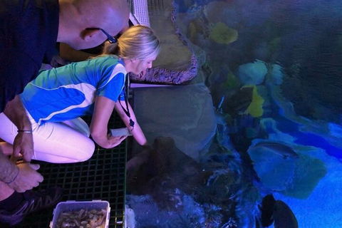 Cairns Aquarium Marine Life Encounter Ticket With 2-Course Lunch - Redcliffe Tourism 2