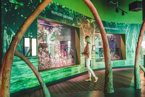 Cairns Aquarium Marine Life Encounter Ticket With 2-Course Lunch - Redcliffe Tourism 3