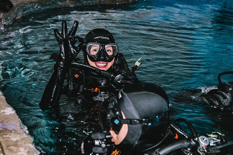 Cairns Aquarium Dive With The Sharks - Redcliffe Tourism 0