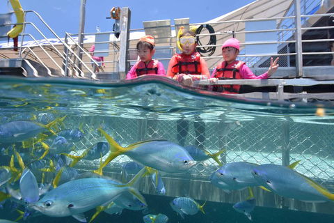 Outer Reef Pontoon Experience From Cairns - Redcliffe Tourism 0