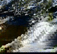 Cradle Mountain Day Tour from Launceston Including Lunch - Redcliffe Tourism