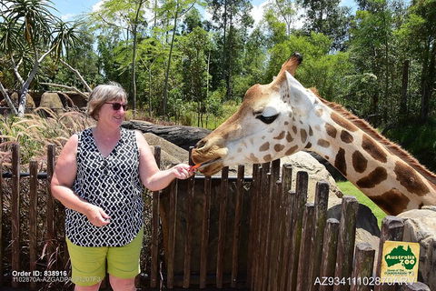 Small-Group Australia Zoo Day Trip From Brisbane - Redcliffe Tourism 2