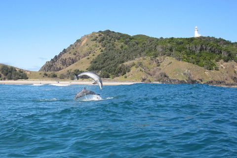 Kayaking With Dolphins In Byron Bay Guided Tour - Redcliffe Tourism 0