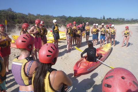 Kayaking With Dolphins In Byron Bay Guided Tour - Redcliffe Tourism 2