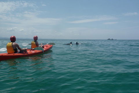 Kayaking With Dolphins In Byron Bay Guided Tour - Redcliffe Tourism 4