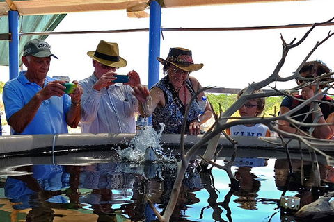 Cape Leveque 4WD Tour From Broome With Optional Return Flight - Redcliffe Tourism 0