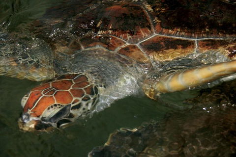Cape Leveque 4WD Tour From Broome With Optional Return Flight - Redcliffe Tourism 2