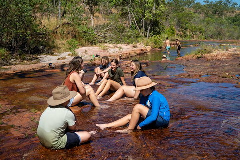 Litchfield National Park Waterfalls And Wildlife Tour From Darwin - Redcliffe Tourism 1