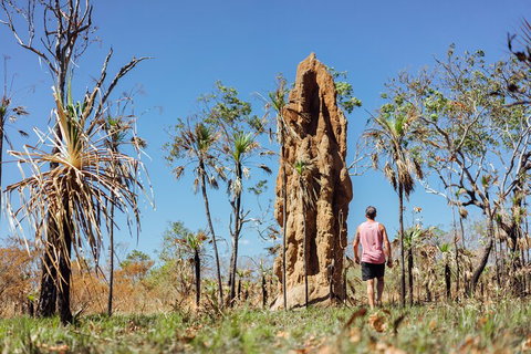Litchfield National Park Waterfalls And Wildlife Tour From Darwin - Redcliffe Tourism 4
