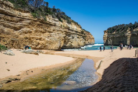 Great Ocean Road And 12 Apostles Day Trip From Melbourne - Redcliffe Tourism 2