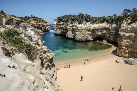 Great Ocean Road Reverse Itinerary With 12 Apostles From Melbourne - Redcliffe Tourism 5
