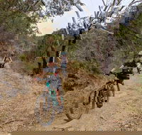 Mount Lofty Descent Bike Tour from Adelaide - Redcliffe Tourism