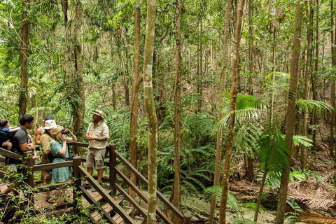 Fraser Explorer K'gari 2-Day Tour - Redcliffe Tourism 5