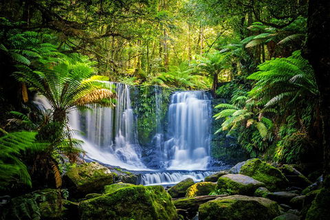 Day Tour In Mt. Field, Mt. Wellington, Bonorong Wildlife Sanctuary And Richmond - Redcliffe Tourism 0