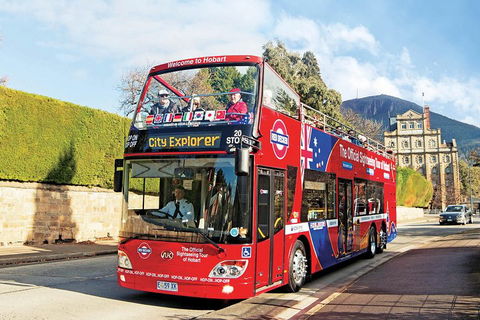 Hobart Hop-On Hop-Off Bus & Kunanyi/Mt Wellington Tour - Redcliffe Tourism 4