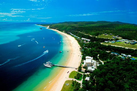 Tangalooma Island Resort Whale Watching Day Cruise - Redcliffe Tourism 2