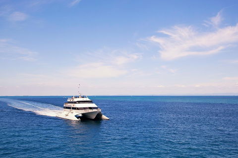 Tangalooma Island Resort Whale Watching Day Cruise - Redcliffe Tourism 5