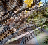 Kakadu National Park Cultural Experience - Redcliffe Tourism