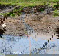 Darwin to Kakadu Day Trip by Air Including Yellow Water Cruise - Redcliffe Tourism
