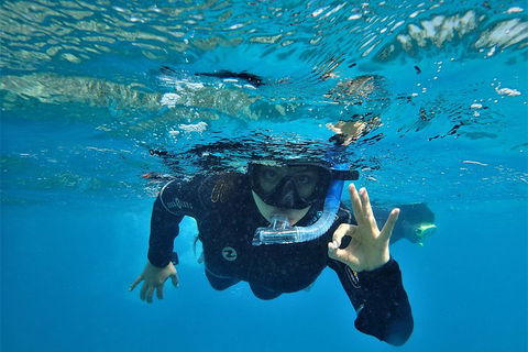 3 Day Whitsundays Sailing And Diving Adventure: Kiana - Redcliffe Tourism 0