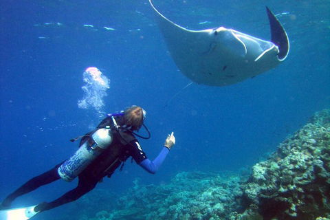 3 Day Whitsundays Sailing And Diving Adventure: Kiana - Redcliffe Tourism 3